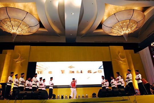 fealy2.jpg fealy2.jpg