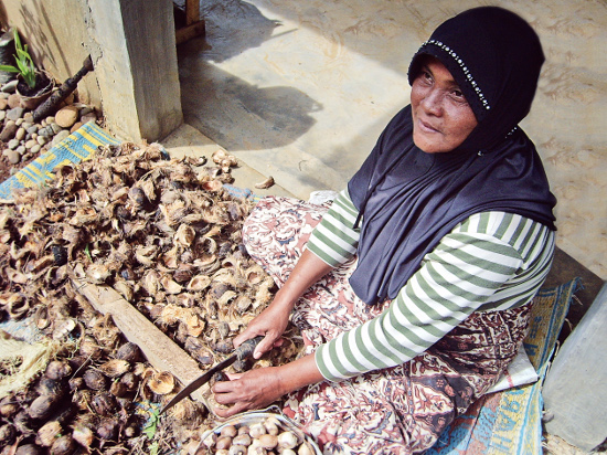 Patient recovery leads to revitalised household economies - MaryJo D. Good good4